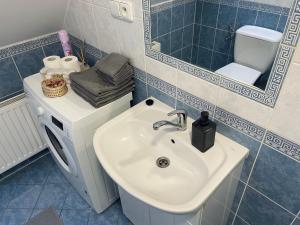 W łazience znajduje się umywalka i lustro. w obiekcie U Lupka - Ostrava w Ostravie