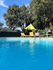 a pool with a green umbrella and two chairs and a table at Le Relais Des Lavandins in Le Muy