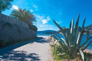 a plant next to a sidewalk next to the water at Apartmani Vesna in Tivat