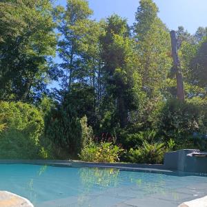 una piscina en un jardín con árboles en el fondo en Refugio369cl - LodgeTenisPuconcl, en Pucón