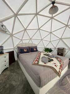 um quarto com uma cama num quarto com paredes de vidro em Yellowstone Camps O2 Zone Khao Kho em Khao Kho
