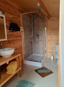 y baño con ducha y lavamanos. en Le lodge de La Boissière en Andillac