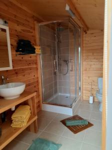 une salle de bain avec douche et lavabo dans l'établissement Le lodge de La Boissière, à Andillac 28 autres photos