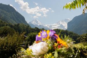 Paesaggio naturale nelle vicinanze dell'hotel