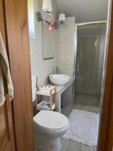 a bathroom with a toilet and a sink and a shower at Kuća za odmor Mirna in Cepidlak