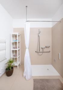 La salle de bains est pourvue d'une baignoire avec rideau de douche. dans l'établissement Residenz am Tabor, à Vienne