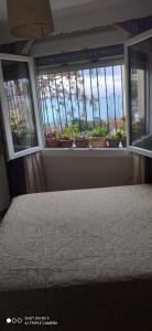 a bedroom with a bed and windows with potted plants at Margarita's House 2 in Kavála +62 photos