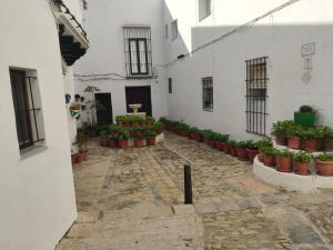 ベヘール・デ・ラ・フロンテーラにあるCasa Mari Carmen, La Plazoletaの鉢植えの白い建物の中庭
