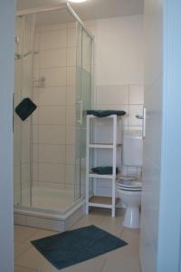 a bathroom with a shower and a toilet at Haus Allgäu Ruh in Görisried