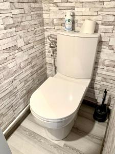 La salle de bains est pourvue de toilettes blanches et d'un mur en briques. dans l'établissement LE CHAMPENOIS, Avenue de Champagne, à Épernay