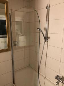 a shower with a glass door in a bathroom at Superschöne Ferienwohnungen! in Buxheim