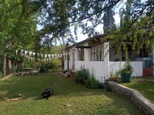 Κήπος έξω από το Finca El Pacará