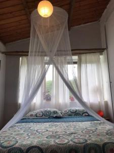 1 dormitorio con cama con dosel y ventana en Finca El Pacará en Agua de Oro