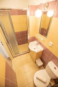 a bathroom with a toilet and a sink at Pension v parku Český Šternberk in Český Šternberk