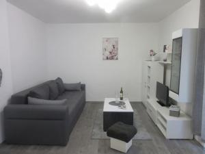 Televízia a/alebo spoločenská miestnosť v ubytovaní Apartman Ira - prelijep stan + besplatni parking