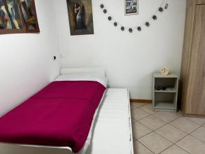 Postel nebo postele na pokoji v ubytování Casa Alexandra