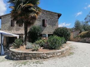 a stone house with a palm tree in front of it at CASALE SAN FORTUNATO in Spello