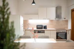 Eldhús eða eldhúskrókur á Kuckuck Hinterthal - Appartements