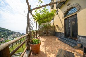 einen Balkon eines Hauses mit einer Pflanze in der Unterkunft Limoneto Di Ercole in Maiori