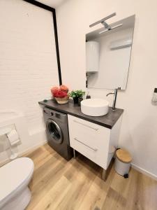 a bathroom with a sink and a washing machine at Studio confort #2, proche Gare et commodités in Maubeuge