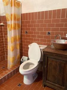 een badkamer met een toilet en een wastafel bij El Paramo in Paipa