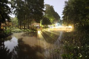 una calle inundada de árboles y un río en Cabaña El Mahayana en Tigre