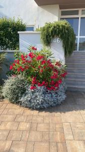 Gallery image of Volme Resort in Banjole