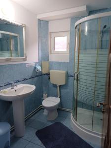 a bathroom with a toilet and a sink and a shower at Pensiunea Ana Cristina in Sighişoara