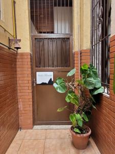 里约热内卢Santo Mirante Hostel的相册照片