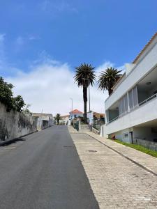 eine leere Straße mit Palmen und einem Gebäude in der Unterkunft Apartamento da vila, Porto Santo. in Vila Baleira