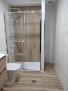 uma casa de banho com um chuveiro, um WC e um lavatório. em MONTECERRAO I (GARAJE Y WIFI GRATIS) em Oviedo