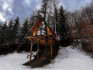 Tara Place - Camp Rabrenovic during the winter