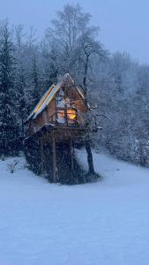 Tree house - Tara Place talvel