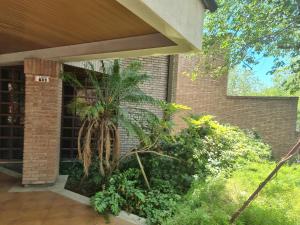 una casa con una palmera al lado de un edificio en PARAISO en Mendoza