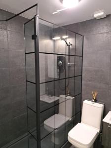 um banheiro com box de vidro e vaso sanitário em SeaView Apartment Suite em Cobh