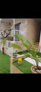 Gallery image of Sabbah Guesthouse in Nazareth
