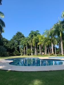 a swimming pool in a park with palm trees at Finca San José los Naranjos in Santa Marta