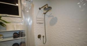 a shower with a shower head in a bathroom at Dorvic Cottage in Bridgetown