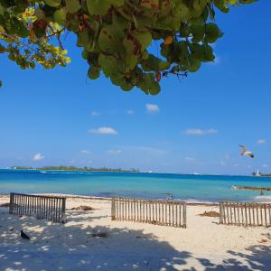 a beach with two fences and the ocean at Ocean Breeze Villa 242 in Nassau