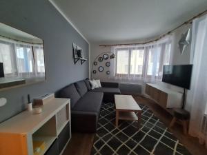uma sala de estar com um sofá e uma televisão em Rokytnice-apartments em Rokytnice nad Jizerou