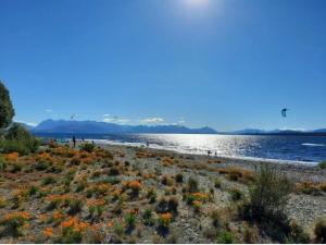 una playa con flores y una cometa volando sobre el agua en Portal Sureño en Dina Huapi