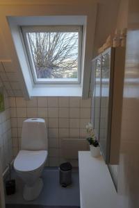 a bathroom with a toilet and a window at villa apartment with sea view in Copenhagen