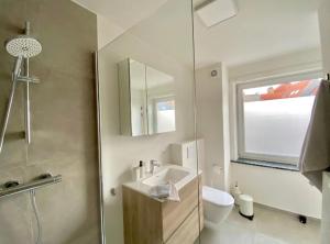 W łazience znajduje się umywalka, toaleta i lustro. w obiekcie City and Nature w Gandawie