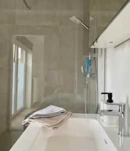 ein Bad mit einem Waschbecken und einer Dusche in der Unterkunft City and Nature in Gent