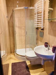 Dworek Ewunia في فيسلا: حمام مع دش ومرحاض ومغسلة