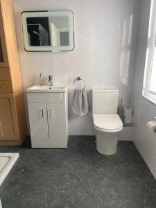 uma casa de banho com um WC, um lavatório e um espelho. em Glenbann House em Coleraine