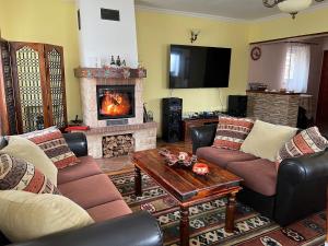 a living room with two couches and a fireplace at Horace Guesthouse POOL & HOT TUB & BIKES & RIVER in Dejani