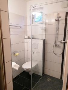 a bathroom with a toilet and a glass shower at Landhotel Oberwengerhof in Spital am Pyhrn +39 photos