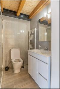 的住宿－Casa da Avó Ana，一间带卫生间和水槽的浴室