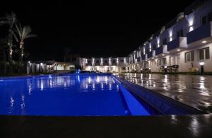 Bazén v ubytování Royal Hotel Assiut nebo v jeho okolí